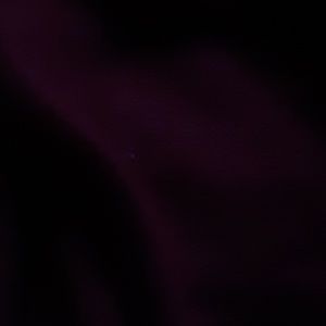 Meet your Posher, Shane